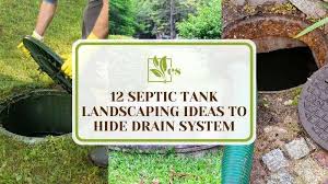 12 Septic Tank Landscaping Ideas To