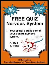It sits atop our heads, where it sends and receives important messages. Nervous System Free Video And Worksheet Science Human Body Biology Human Body Systems Nervous System Activities Nervous System Projects