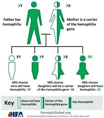 Hemophilia Inheritance Both Parents Hematology X