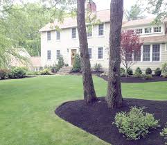 how to make mulching work for you