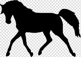 standing horse silhouette horse