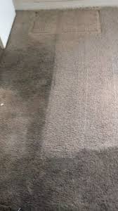 carpet cleaning companies cape c