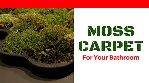 green moss carpet for your bathroom