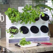 Countertop Garden Kit Herb Garden In