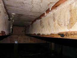 Mold Growth On Joists In Crawlspace