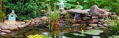 10 Raised Garden Pond Ideas Sleepers