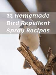 homemade bird repellent spray recipes