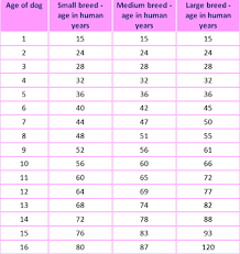 Small Dog Age Goldenacresdogs Com