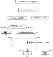 Proposed Diagnostic Flow Chart Of Spn In Breast Cancer