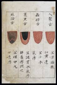 File C14 Chinese Tongue Diagnosis Chart Wellcome L0039596