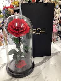 Preserved Rose In Glass Dome With