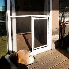 install dog door in screen door