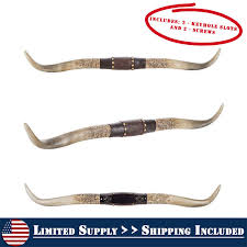 Western Americana Steer Horn Large