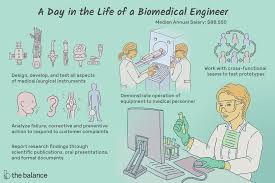 Biomedical Engineer Job Description Salary Skills More