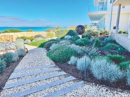 7 steps to a stylish coastal garden