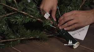 How To Troubleshoot an Unlit Section of your Easy Plug™ Christmas tree -  YouTube