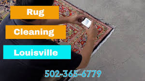 oriental rug cleaners