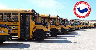 school bus and charter transportation