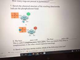 Write the complimentary dna strand for each given strand of dna. Complementary Base Handout Dna Base Pairing Worksheet Kids Activities I Briefly Describe Complementary Base Pairing Antiparallel Strands And Predicting A Dna Or Rna Strand S Complement Based On Its Sequence
