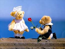 lovely teddy bear lovely rose gift