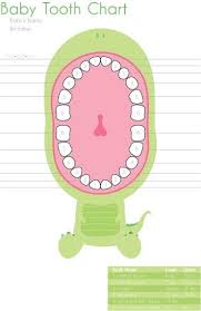 Baby Tooth Chart Tooth Chart New Baby Products Baby Love