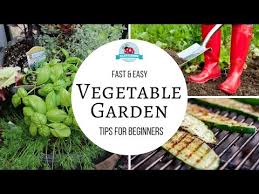 How To Grow A Vegetable Garden Easy