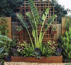 34 Lovely Tropical Garden Design Ideas