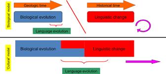 Papers are invited on every aspect of syntactic change in contact, with preference for contact between romance languages. Did Language Evolve Through Language Change On Language Change Language Evolution And Grammaticalization Theory