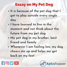 essay on my pet dog my pet dog essay