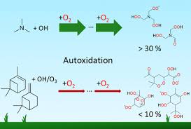 Aromatics In Atmospheric Autoxidation