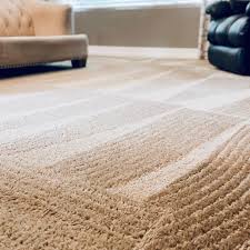 carpet cleaning scottsdale renew