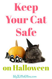 Keep Your Cat Safe On My 3