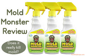 does lysol kill mold mold help for you