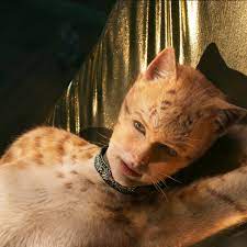 Последние твиты от pictures of cats (@pictures_cats). The Nine Lives Of Cats How Poetry Became A Musical Then A Film Books The Guardian
