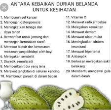 Graviola lebih kuat dari 1 tan buah durian belanda. Antara Jus Durian Belanda Blunkdo S Gua Musang Facebook