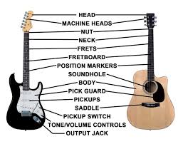 Parts of the guitar clearest guitar parts diagram detailed breakdown. Guitar Parts Diagrams 101 Diagrams