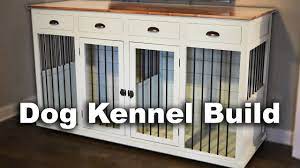 building a custom indoor dog kennel