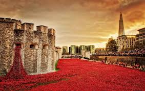 poppies tower of london s powerful art