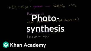 Photosynthesis Video Khan Academy