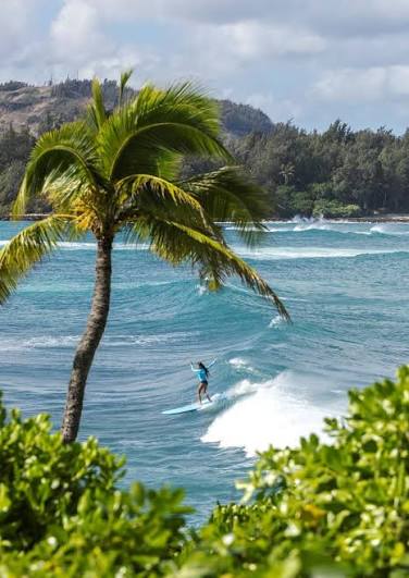 Surfing - Oahu, North Shore | Turtle Bay Resort