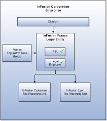 exles of hcm organization models