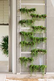 Diy How To Make Your Own Living Wall