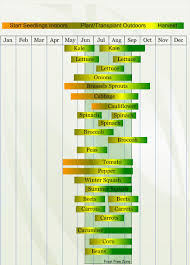 Zone 4 Vegetable Planting Calendar Describing Approximate