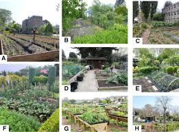 urban farms and gardens