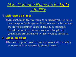 1 A Closer Look at Conception... Multiple Births & Infertility. - ppt download