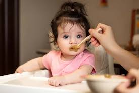 Makanan pertama bayi seringkali disebut juga sebagai makanan tahap 1. Inspirasi Menu Makanan Bayi 8 Bulan Yang Mudah Dibuat