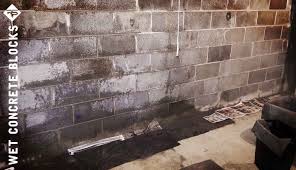 how to seal concrete block walls