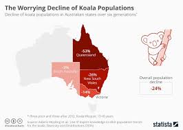 Chart The Worrying Decline Of Koala Populations Statista