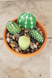 Painted Rock Cactus Plants Ashley