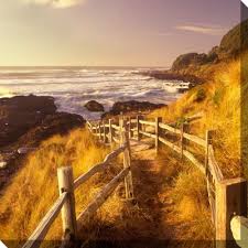 Pathway To Beach Outdoor Wall Art Piece